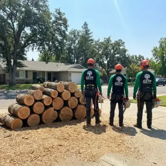 Freshly cut oak logs from a Johns Creek tree removal