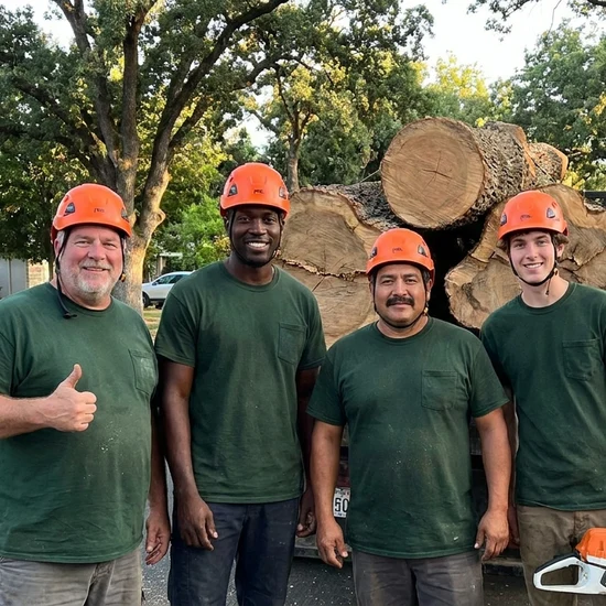 AAA tree crew with a truck loaded with oak logs in Johns Creek
